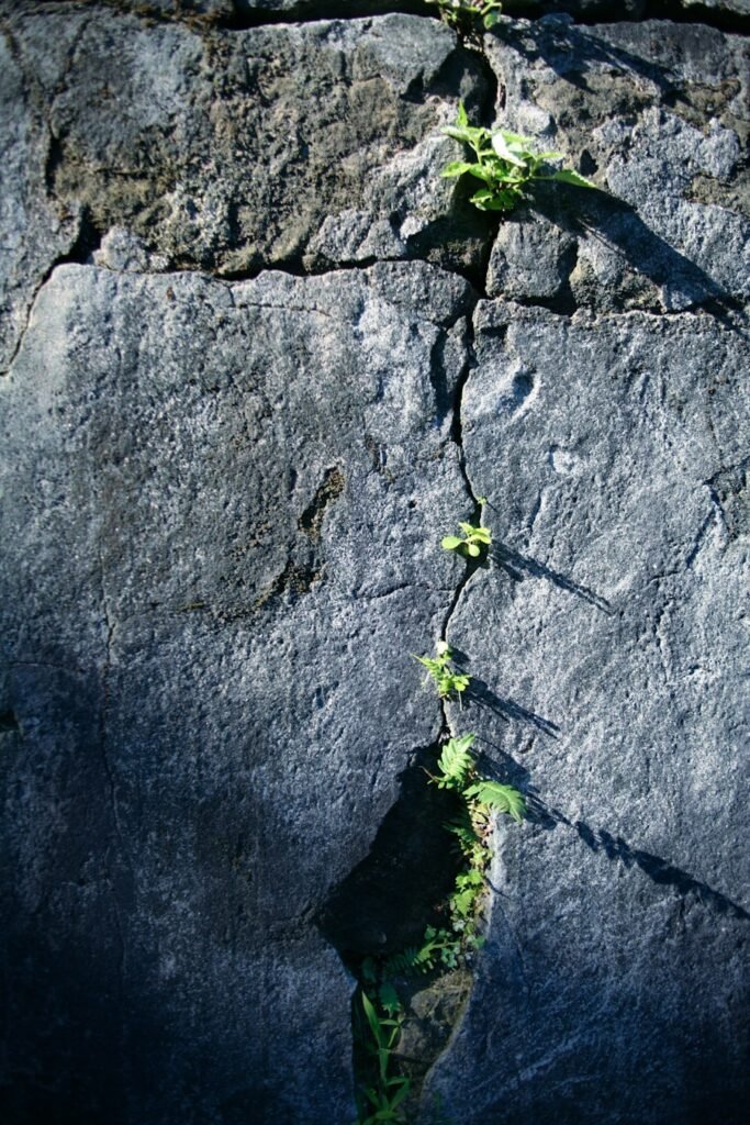 Photo Resilience